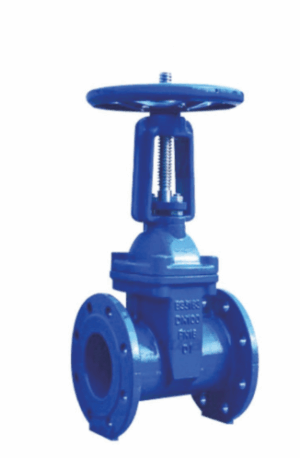 BS Ductile Iron Gate valve - Valves Only