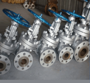 BS NRS Cast Iron Gate Valve - ValvesOnly