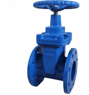 BS NRS Cast Iron Gate Valve - Valves Only