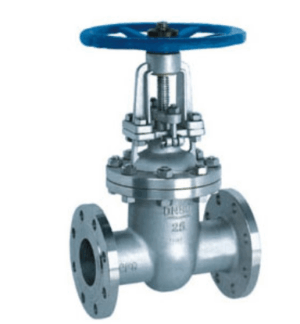 BS Stainless Steel Gate Valve - Valves Only