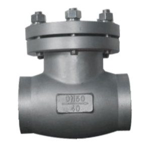 Cryogenic Check Valve - Valves Only