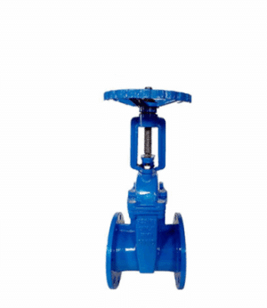 DIN Rising Stem Ductile Iron Gate Valve - Valves Only