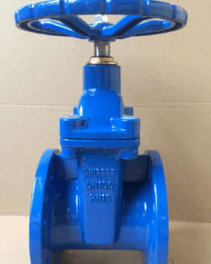 DIN Soft Seat Gate Valve - Valves Only