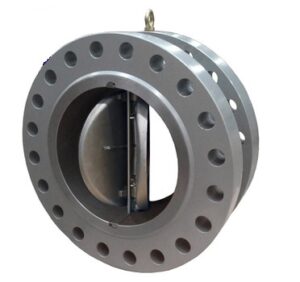 Dual Plate Lug Check Valve in Nominal Size : 2″ to 48″