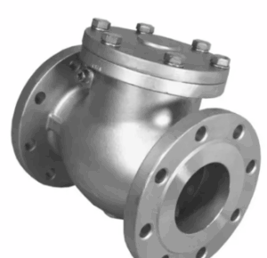 Inconel Swing Check Valve