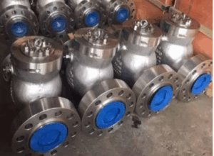 Swing Check Valve - Valves Only