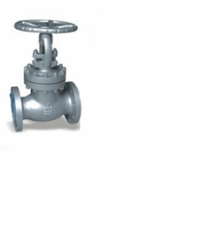 Incoloy Globe Valve - Valves Only