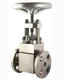 Super Duplex 5A Globe Valve with Gear-operated