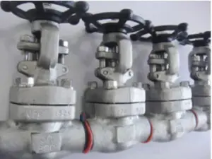 Incoloy Gate Valve - Valves Only