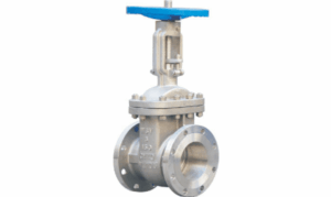 Inconel Gate Valve - Valves Only