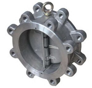 Alloy 20 Dual Plate Lug Type Check Valve - Valves Only