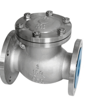 Duplex Swing Check valve - Valves Only