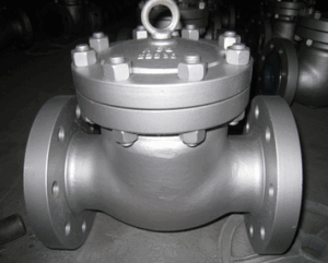 Titanium Swing Check Valve - Valves Only