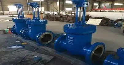 62988702_335518547348434_5297087211739545600_n-1
