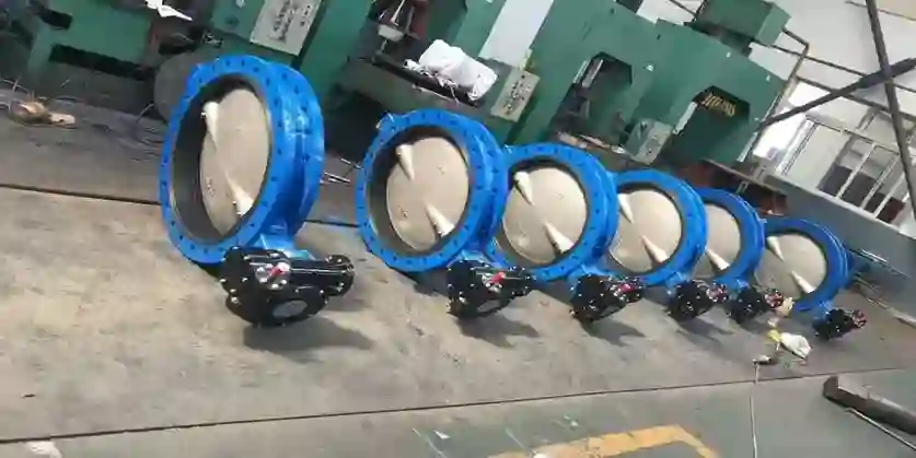 AWWA Valve